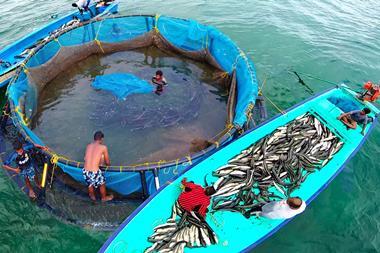 India cage fish farming