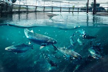 Co-op salmon