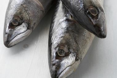 Northeast Atlantic mackerel