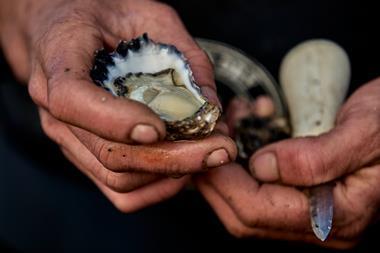 Farmer holding a rock oyster