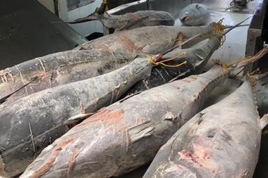 tuna