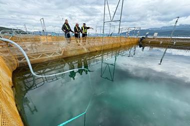 Moleaer - Norway Team