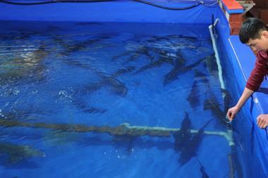 Indoors aquaculture pen with fish swimming in it