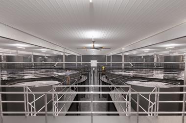 Land-based aquaculture technology