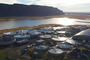 Samherji Fiskeldi land based facility on Iceland - Silfurstjarnan