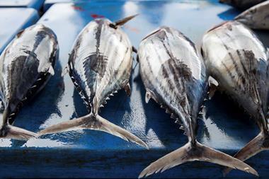 Skipjack tuna