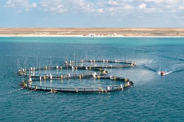 Three fish pens on the Caspian Sea