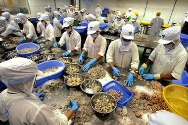Vietnam shrimp