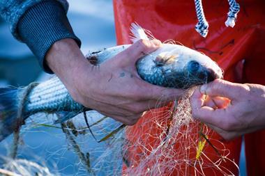 EU Fisheries