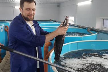 Sturgeon farming