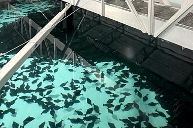 The Sande Seafarm project is pictured