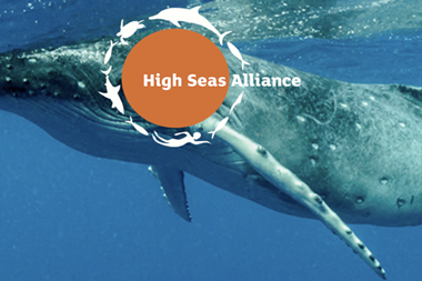 High Seas Alliance