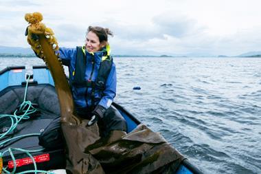 Report co-author Dr Kati Michalek examines some Saccorhiza polyschides growing at the SAMS seaweed farm