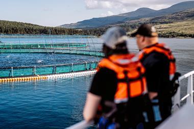 Scottish Sea Farms, Fishnish