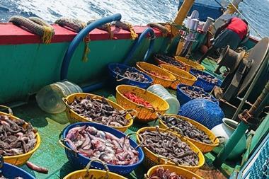 Baskets of fish on board a fishing vessel at sea