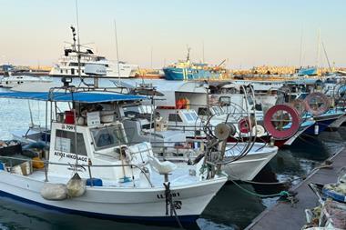 Small fishing boats lined up at a pontoon