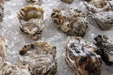 oysters on a bed of ice