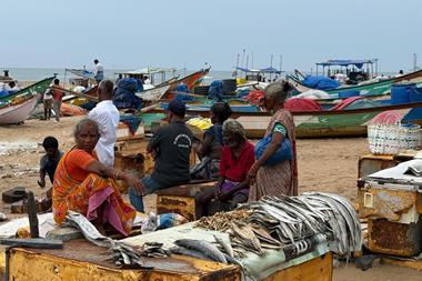 India small-scale fisheries