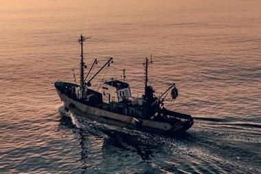 EU fishing boat at sunset