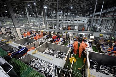 Russia fish processing