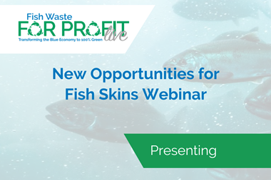 FWP Webinar 2022 Thumbnail