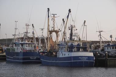 European fishing vessels