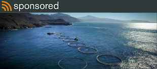 Fish Farming in Mexico
