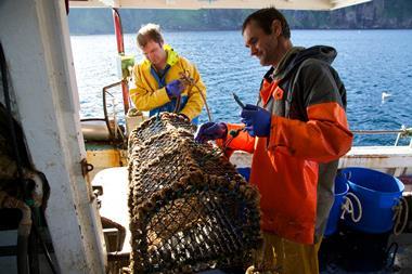 NSF Community Catch Orkney Crab