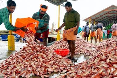 India fisheries