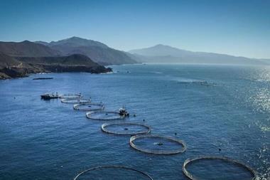 The technical visits will take in the best of the country's offshore farms and processing sites