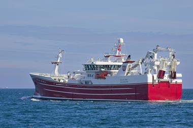 Havfisk