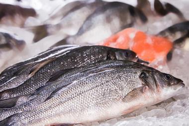 European seabass
