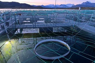 Nofima research into the light needs of farmed salmon