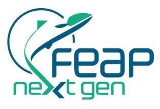 FEAP NextGen