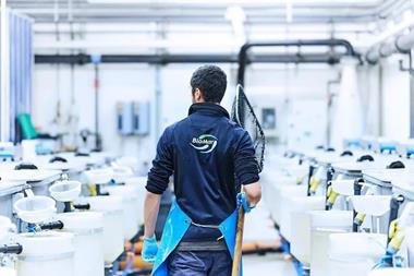 atc-hirtshals-plays-a-crucial-role-in-the-development-of-biomars-innovative-feed-solutions-larviva