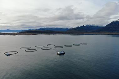 Ice Fish Farm edges closer to owning Laxar | News | World Fishing