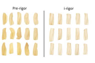 The image compares discoloured fish frozen too early to fish frozen post rigor mortis