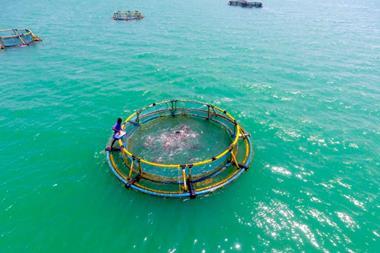 Cage fish farming