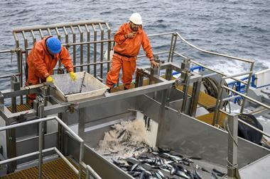 Chile fisheries