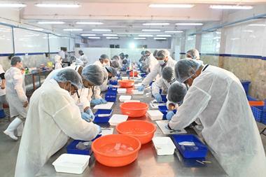 Skilled professionals in seafood processing participating in the preliminary round of the National Skill Olympiad