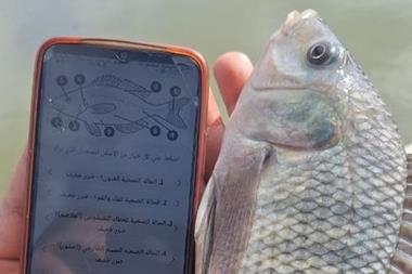 FAI Tilapia Welfare App