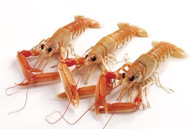 Nephrops/Langoustines