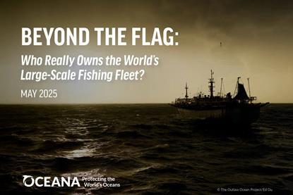 First page of a report called Beyond the Flag by Oceana asking who really owns the world's large-scale fishing fleet