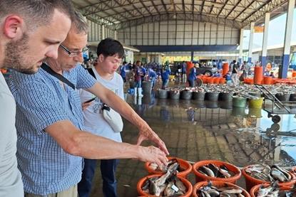 Dr Timothy Wiese, Professor Dave Little and Arnan Hirunratanakorn conducting observational research at a wholesale fish market in Thailand