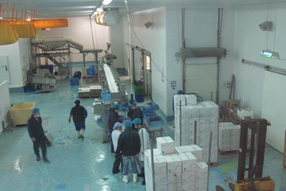 The processing facility produced five tonnes of fish per hour