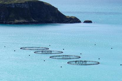 Scottish fish farm