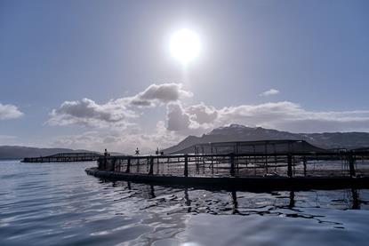 Scottish salmon farm showing a pen with mountains and sun behind