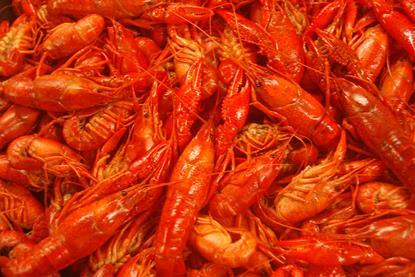 Louisiana crawfish