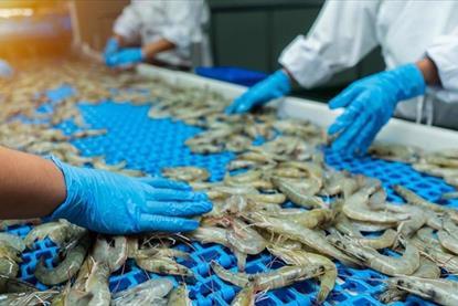 Vietnamese shrimp processing