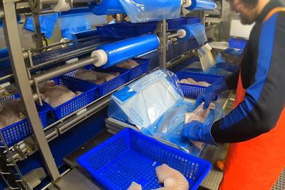 Onboard cod processing